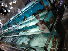 -盒马鲜生(枣园路店)