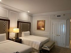 -澳门威尼斯人综合度假区