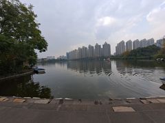 -成都南湖公园