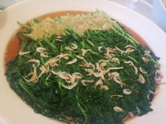 -解家河南菜(北环路店)