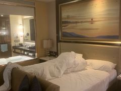 -长沙富力万达文华酒店