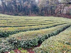 -敬亭山风景名胜区