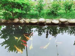 -韶关经律论国际酒店温泉
