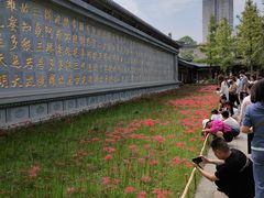 -西安大兴善寺