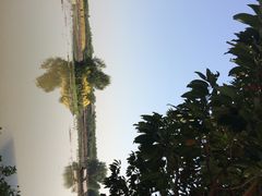 iphone_upload_pic-大湾区中央湿地公园