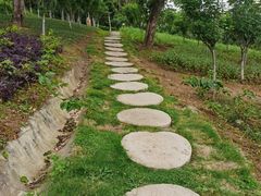 -神光山国家森林公园