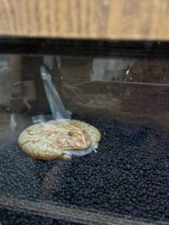 -Zoolung Zoolung动物主题公园(海信广场店)