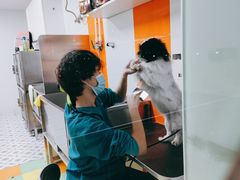 -全心全意动物诊疗中心医院(北苑店)