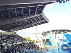 -上海海昌海洋公园-冰山北极馆