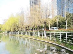 -天鹅湖体育公园