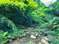 -四洞沟景区