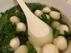 -丁老爷子苏香圆