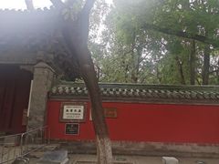 -北京国子监胡同