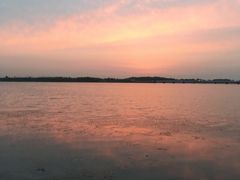 -丁香湖公园