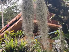 -中国科学院西双版纳热带植物园
