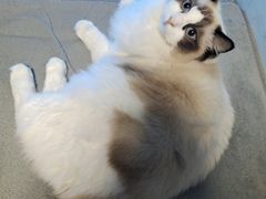 -零纪元VR体验馆·桌游(黄浦店)