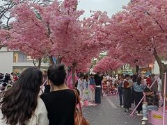 -东莞松山湖万象汇