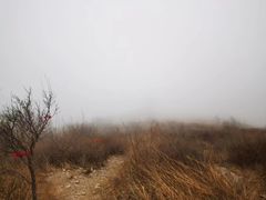 -妙峰山风景名胜区