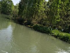 -桤木河湿地公园