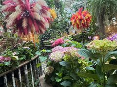 -正佳雨林生态植物园