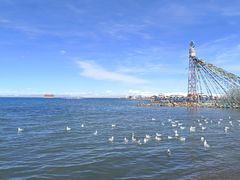 -青海湖国家重点风景名胜区