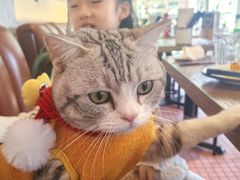 -尚牛社会 Beef & Liberty(金桥EKA天物店)
