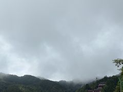 -云南屏边大围山国家公园