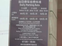 -迪士尼乐园停车场
