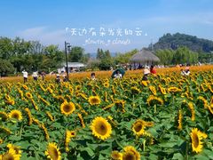 -径山花海
