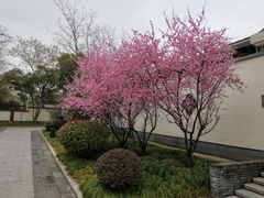 -扬州瘦西湖温泉