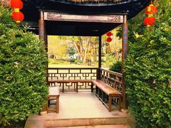 -上海醉白池公园