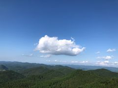 -武陵山森林公园