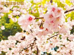 -静安雕塑公园