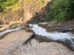 -广州白江湖森林公园