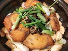 豆豉啫马鲛鱼-常来小聚·广州非遗传承餐厅(中山二路店)