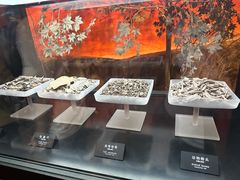 -河姆渡遗址博物馆