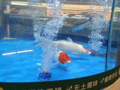 -盒马鲜生(杭州运河上街店)