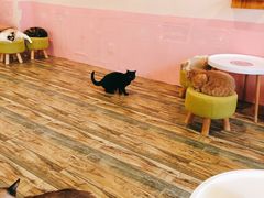 -喵匠猫主题咖啡(凯德和平广场店)