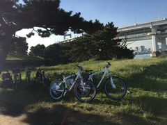 -台场海滨公园船码头