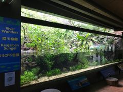 -河川生态园