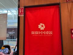 -阳阳中国饭(北京荟聚店)