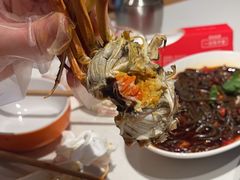 -杨氏青龙虾·羊蝎子(金盛路总店)
