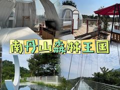 -南丹山森林王国