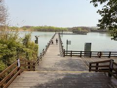 -溱湖国家湿地公园