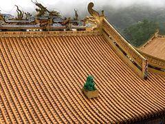 -东莞市大岭山森林公园