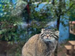 -青藏高原野生动物园
