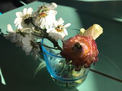 -sugarman espresso素饮糖人高新咖啡工厂