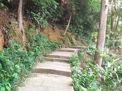 -水濂山森林公园