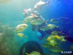-常州海昌海洋探索馆