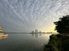 -金鸡湖景区